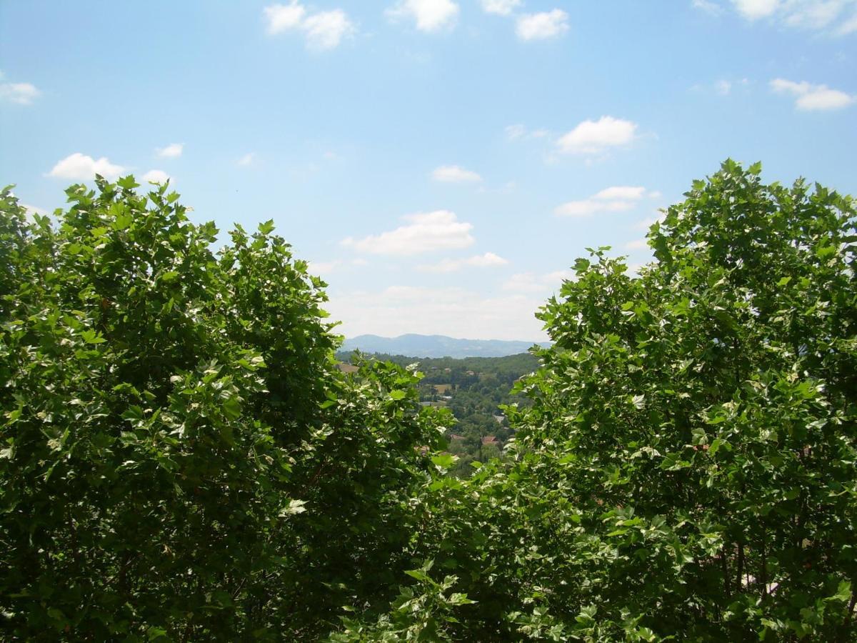 Domaine Lyon Saint Joseph Hotel Sainte-Foy-lès-Lyon Eksteriør billede