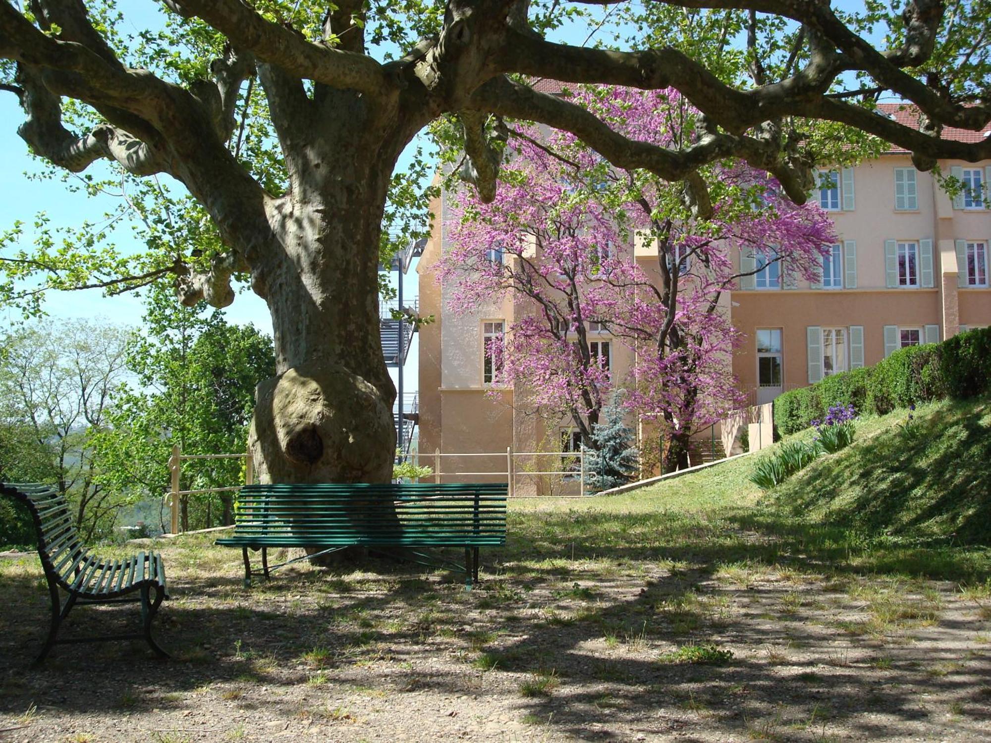 Domaine Lyon Saint Joseph Hotel Sainte-Foy-lès-Lyon Eksteriør billede
