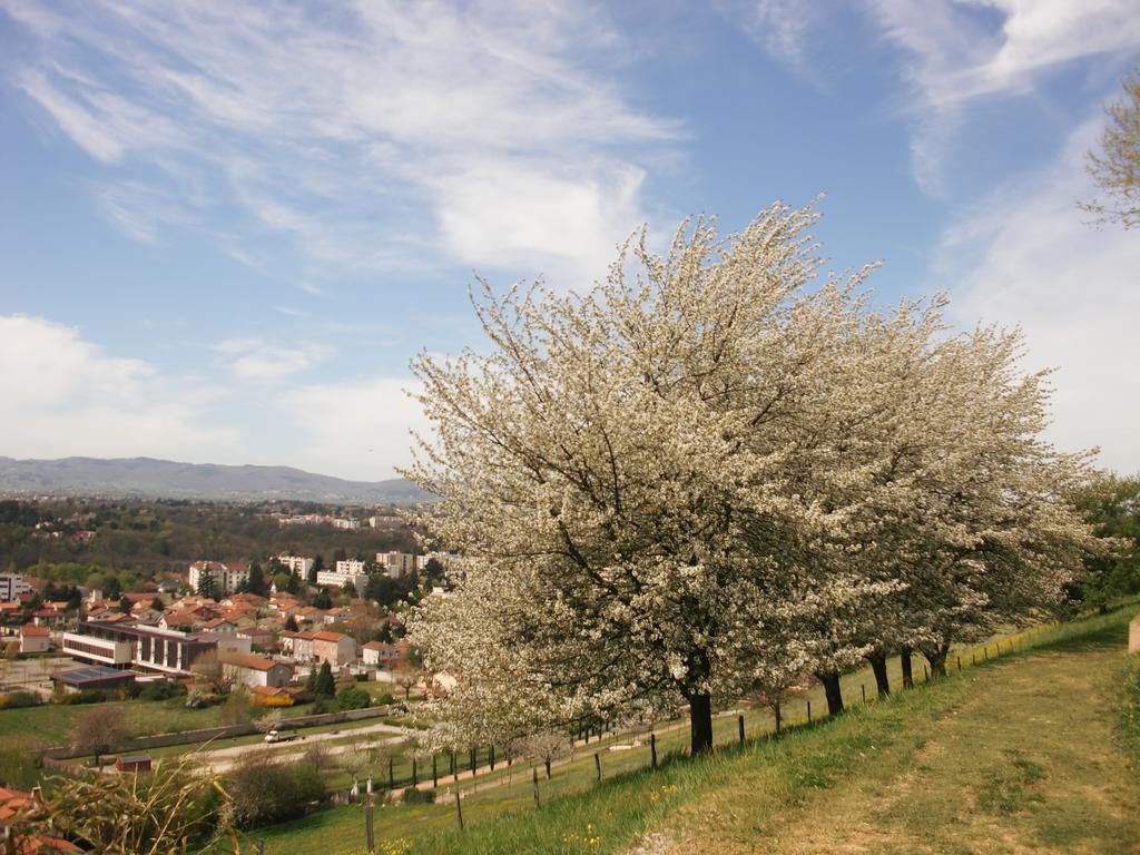 Domaine Lyon Saint Joseph Hotel Sainte-Foy-lès-Lyon Eksteriør billede